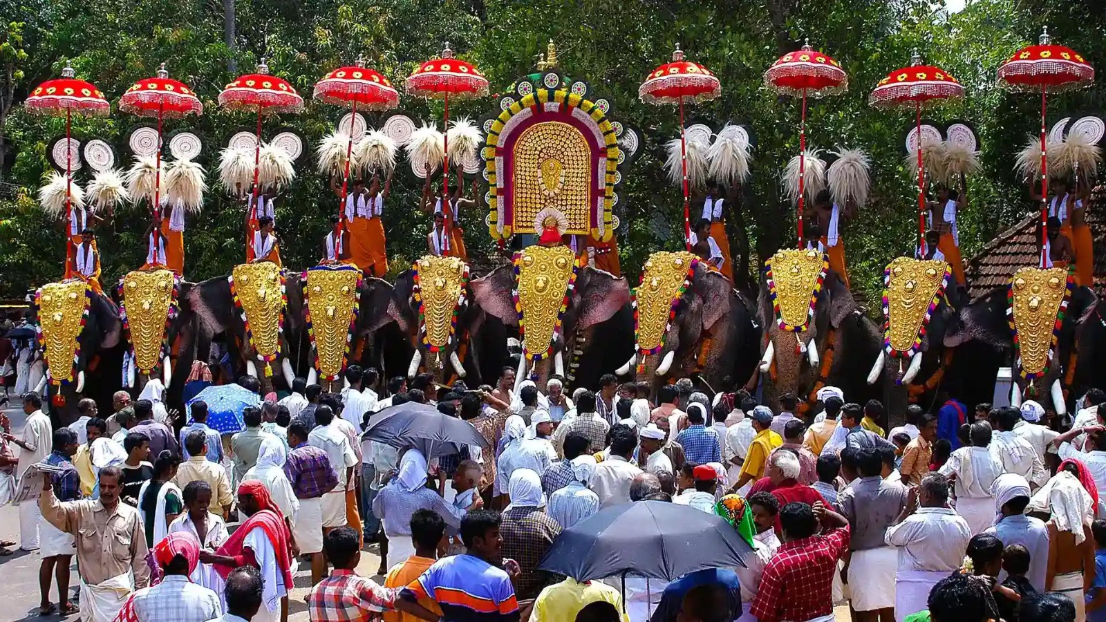 Decorated elephants at the temple festival