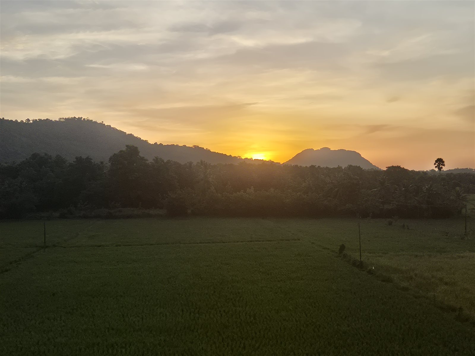 Sunset over Manayunkia.