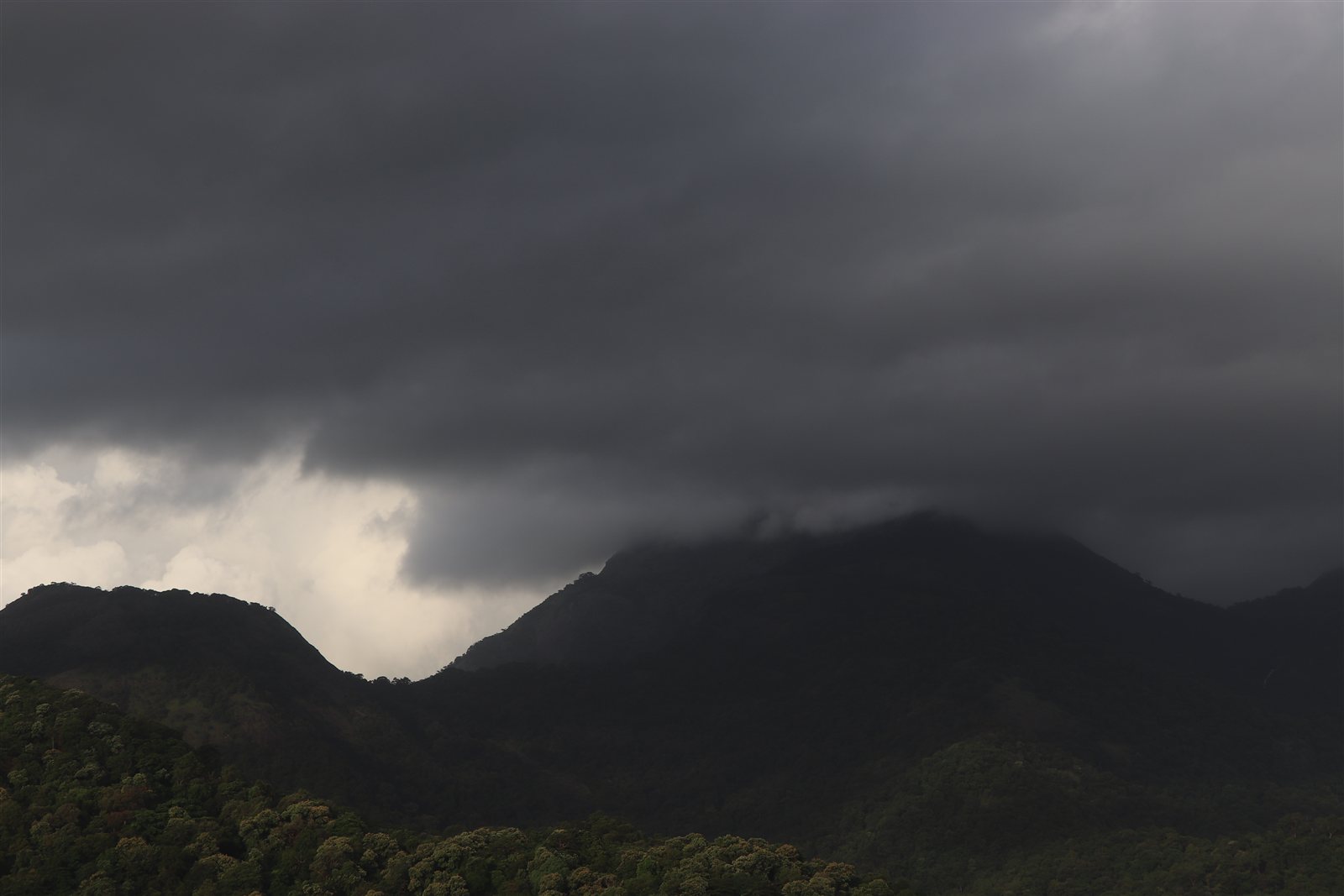 The hills of Nelliyampathy.