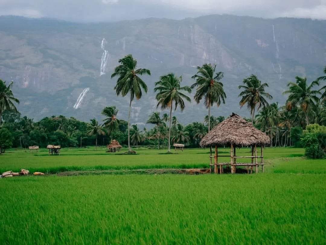 A waterfall hidden in the hills.